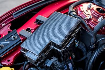 Miscellaneous - 15 - 20 Mustang Carbon Fiber LG241 Fuse Box Cover