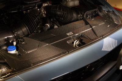 APR Performance - 2024+ Mustang S650 Carbon Fiber Radiator Cover