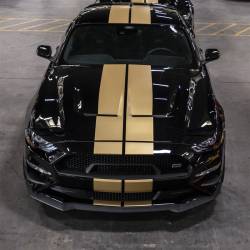 Shelby Performance Parts - 2018 - 2023 Shelby Mustang Hertz Hood w/ Hood Vents - Image 4