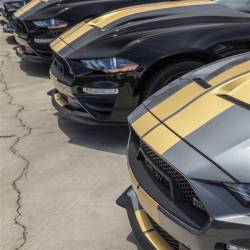 Shelby Performance Parts - 2018 - 2023 Shelby Mustang Hertz Hood w/ Hood Vents - Image 5