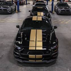 Shelby Performance Parts - 2018 - 2023 Shelby Mustang Hertz Hood w/ Hood Vents - Image 8